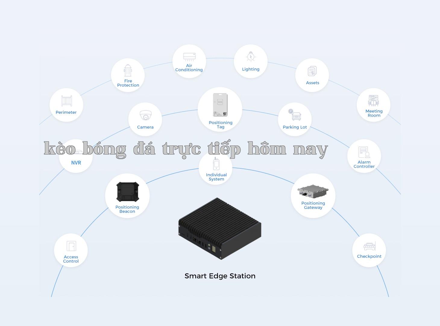 Smart Edge Devices + Smart Park Management Platform