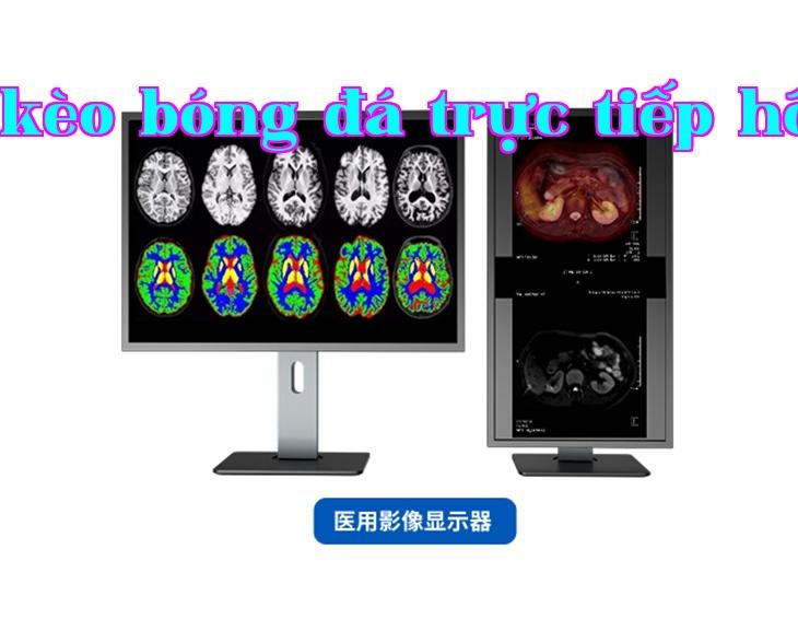 Màn hình hiển thị hình ảnh y tế + Trợ lý sức khỏe số + Nền tảng quản lý sức khỏe cá nhân