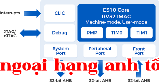 E310