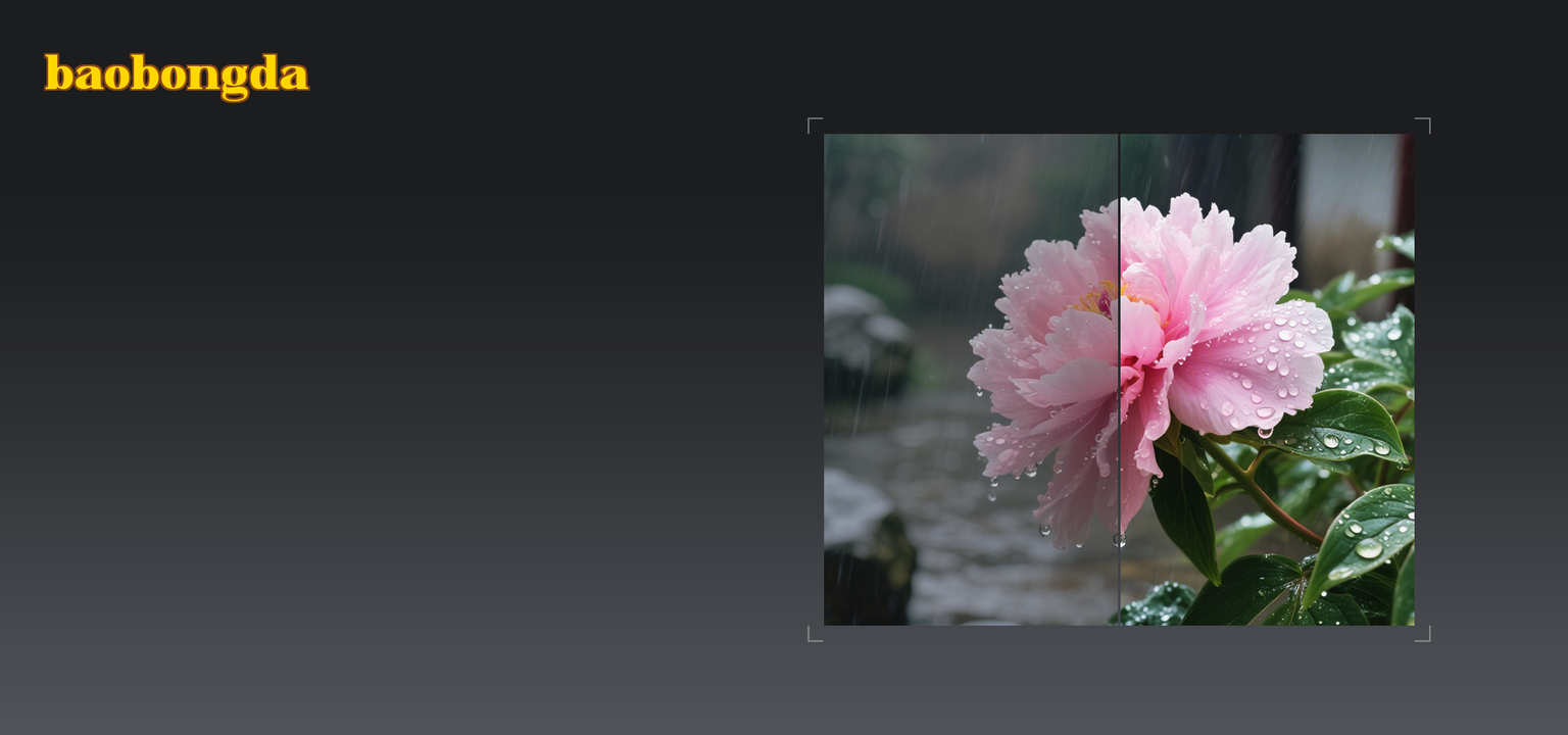 ISP and Image Enhancement Technology